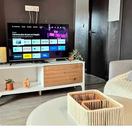Cosy Chic Au Coeur De Lourdes-wifi-parking Apartment